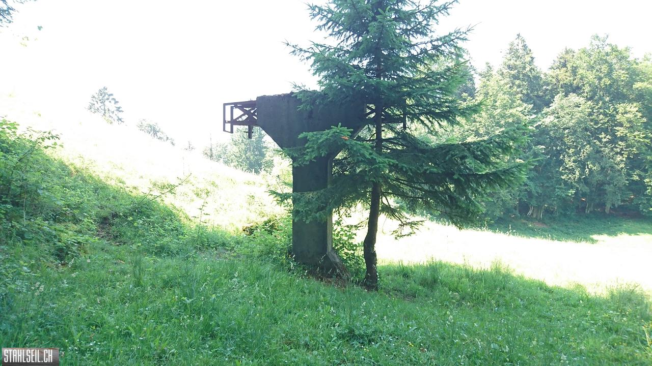 DSC_0072.JPG