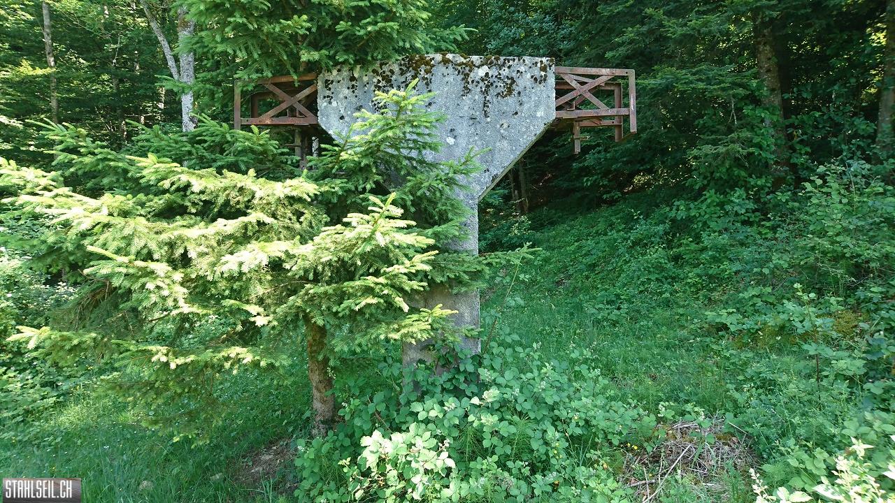 DSC_0082.JPG