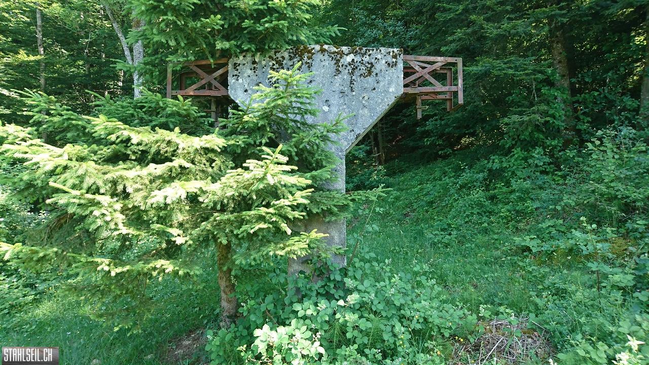 DSC_0083.JPG