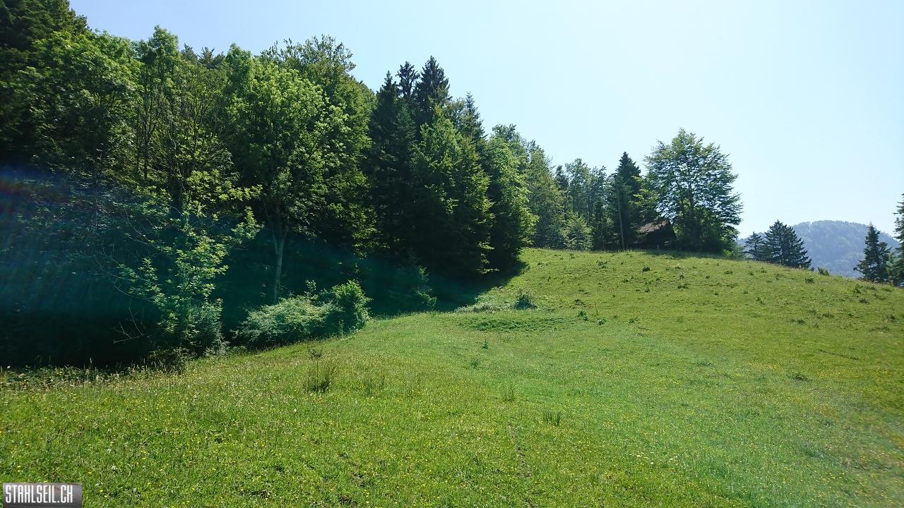DSC_0088.JPG