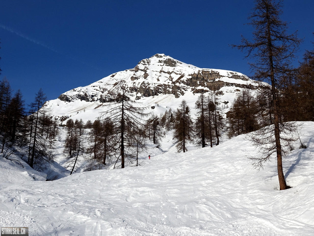 DSC09783.JPG