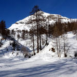 DSC00018.JPG