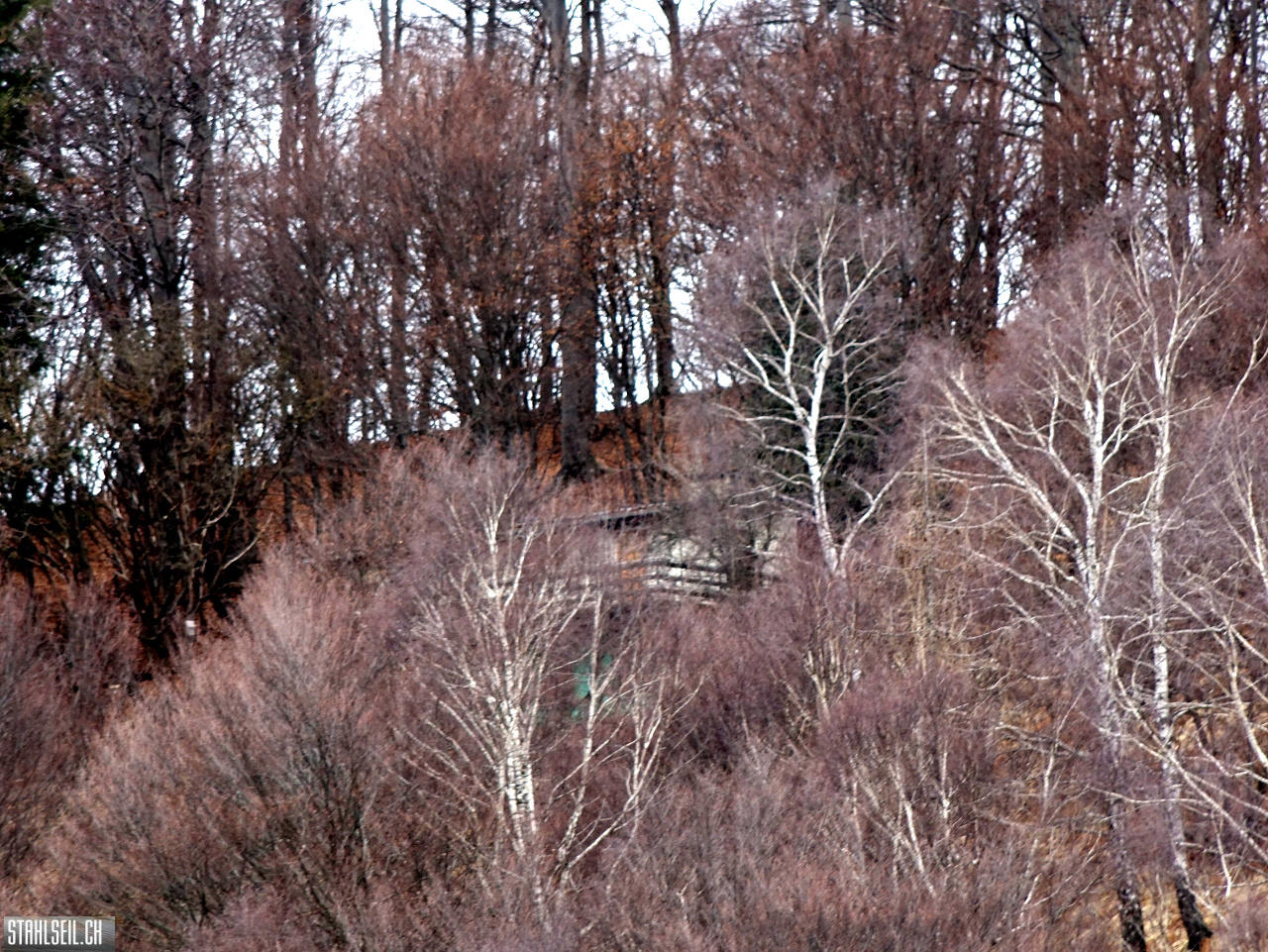 DSC01152.JPG