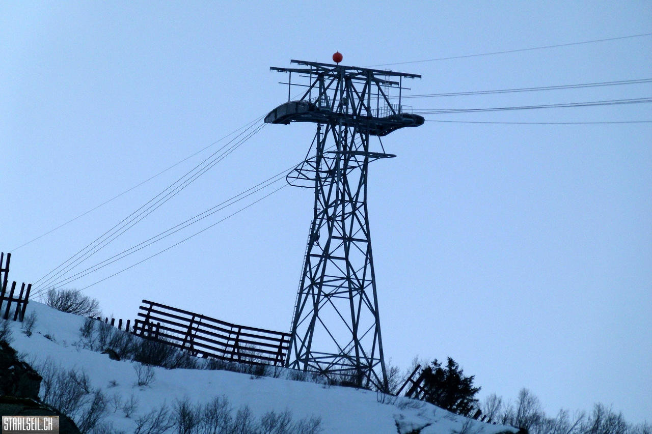 P1850013.JPG