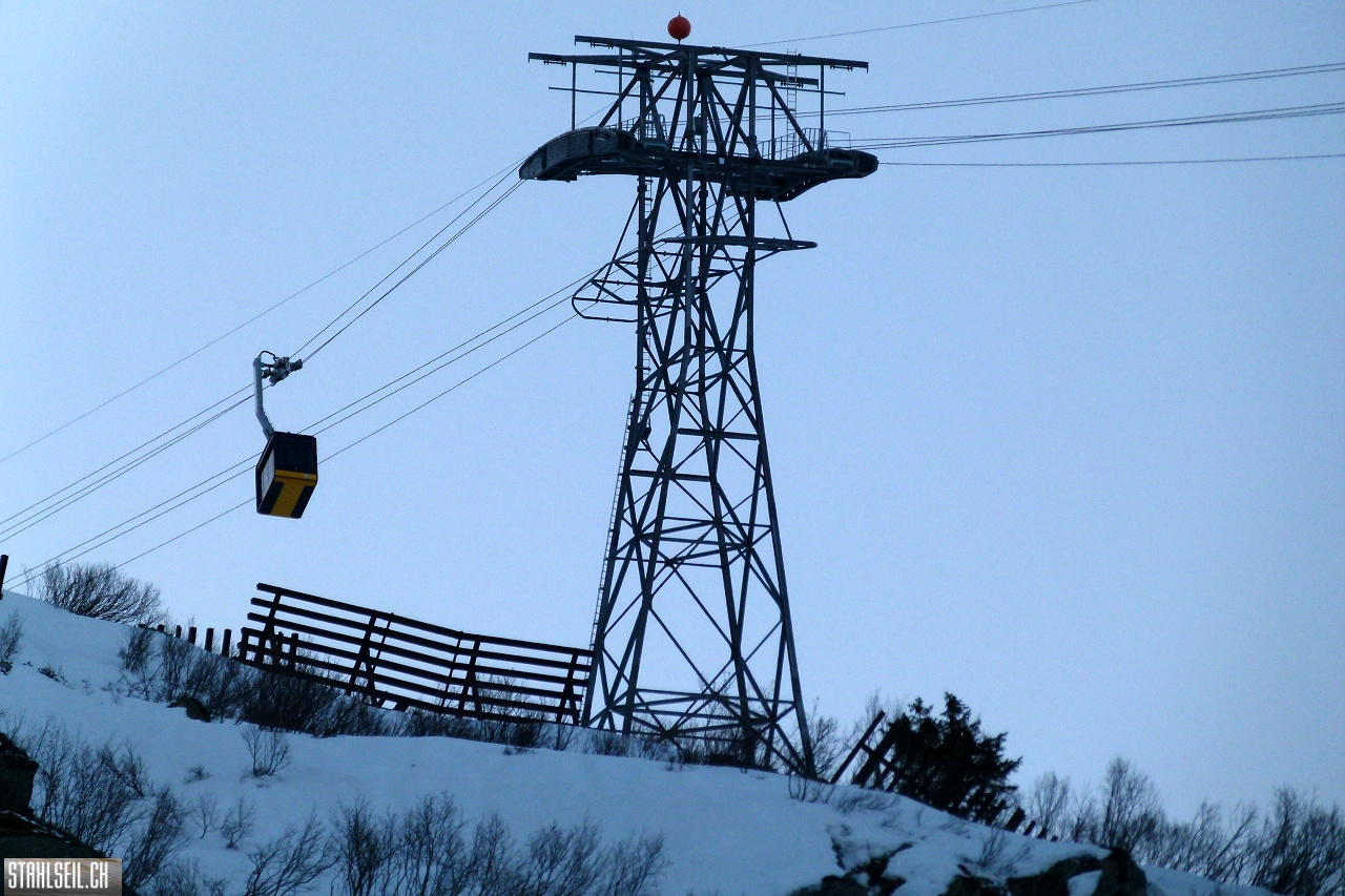 P1850014.JPG