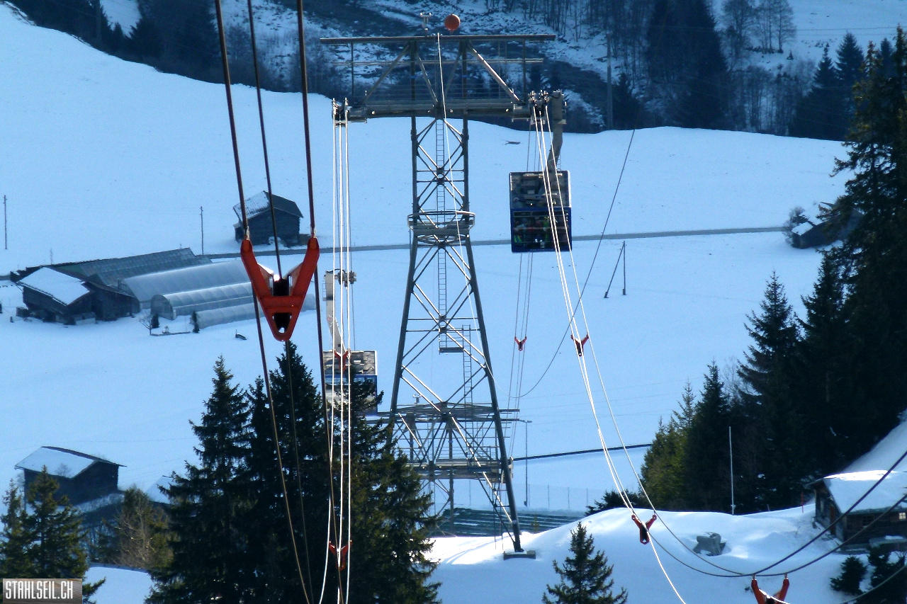P1850053.JPG