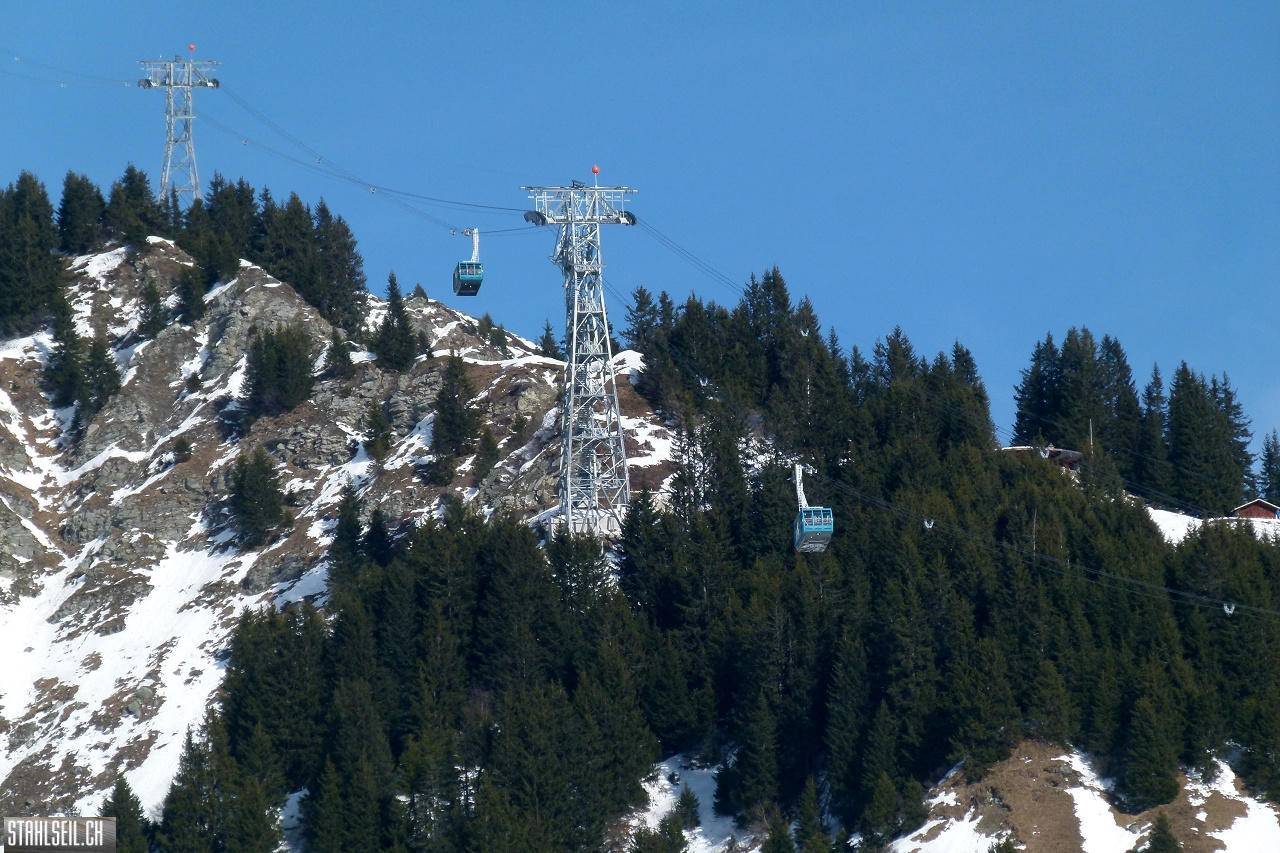 P1850335.JPG