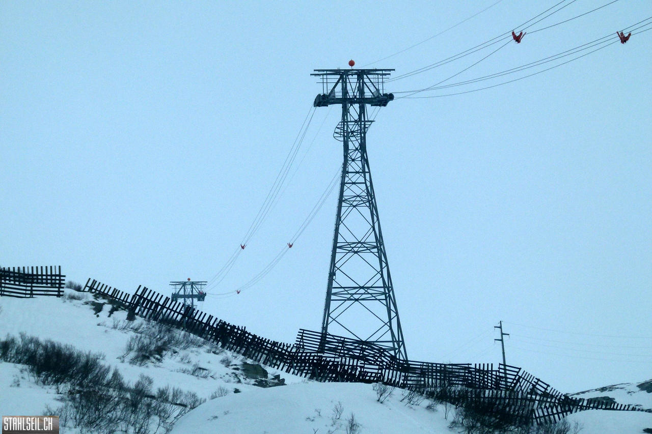 P1850555.JPG