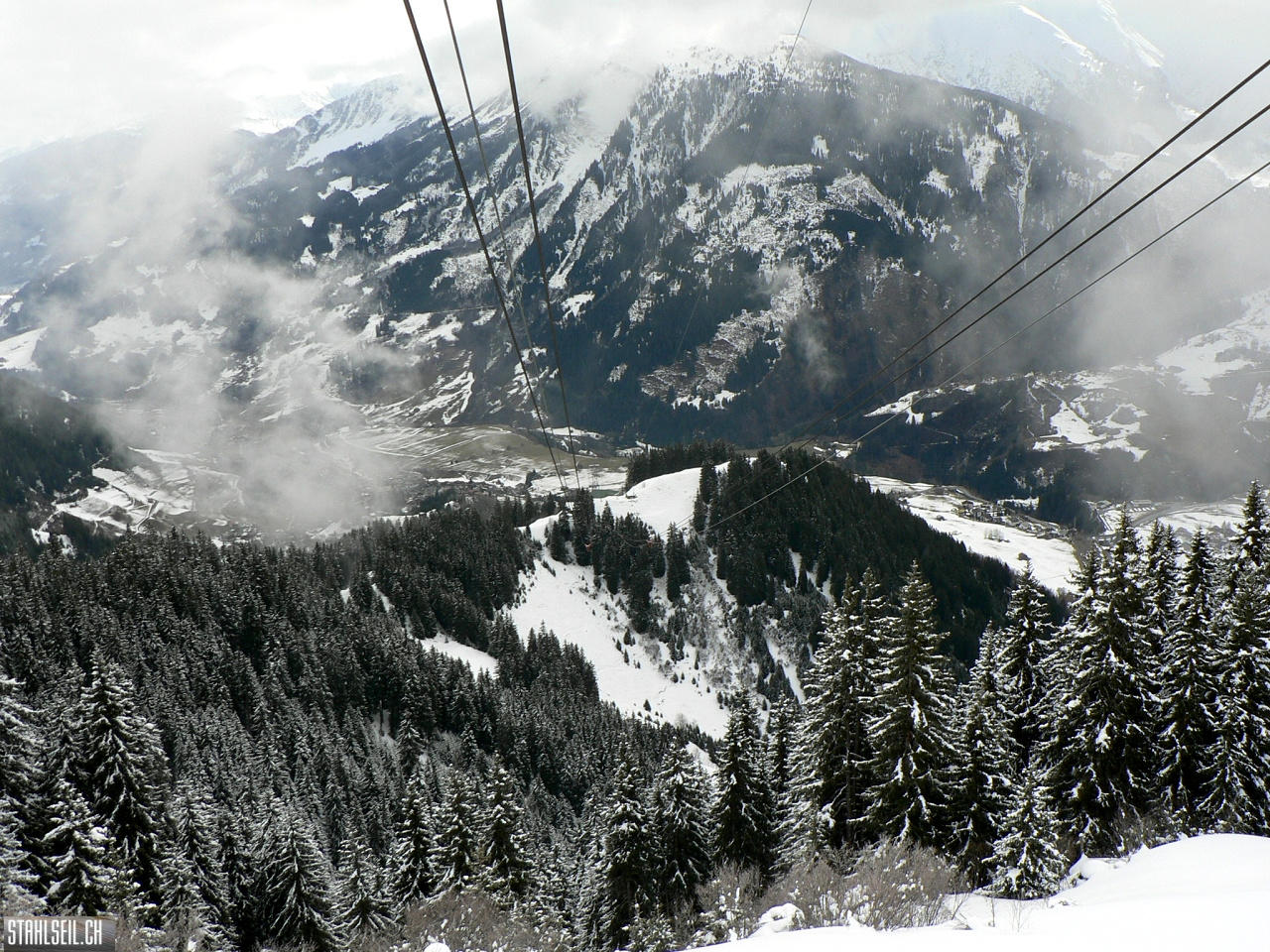 P1270830.JPG