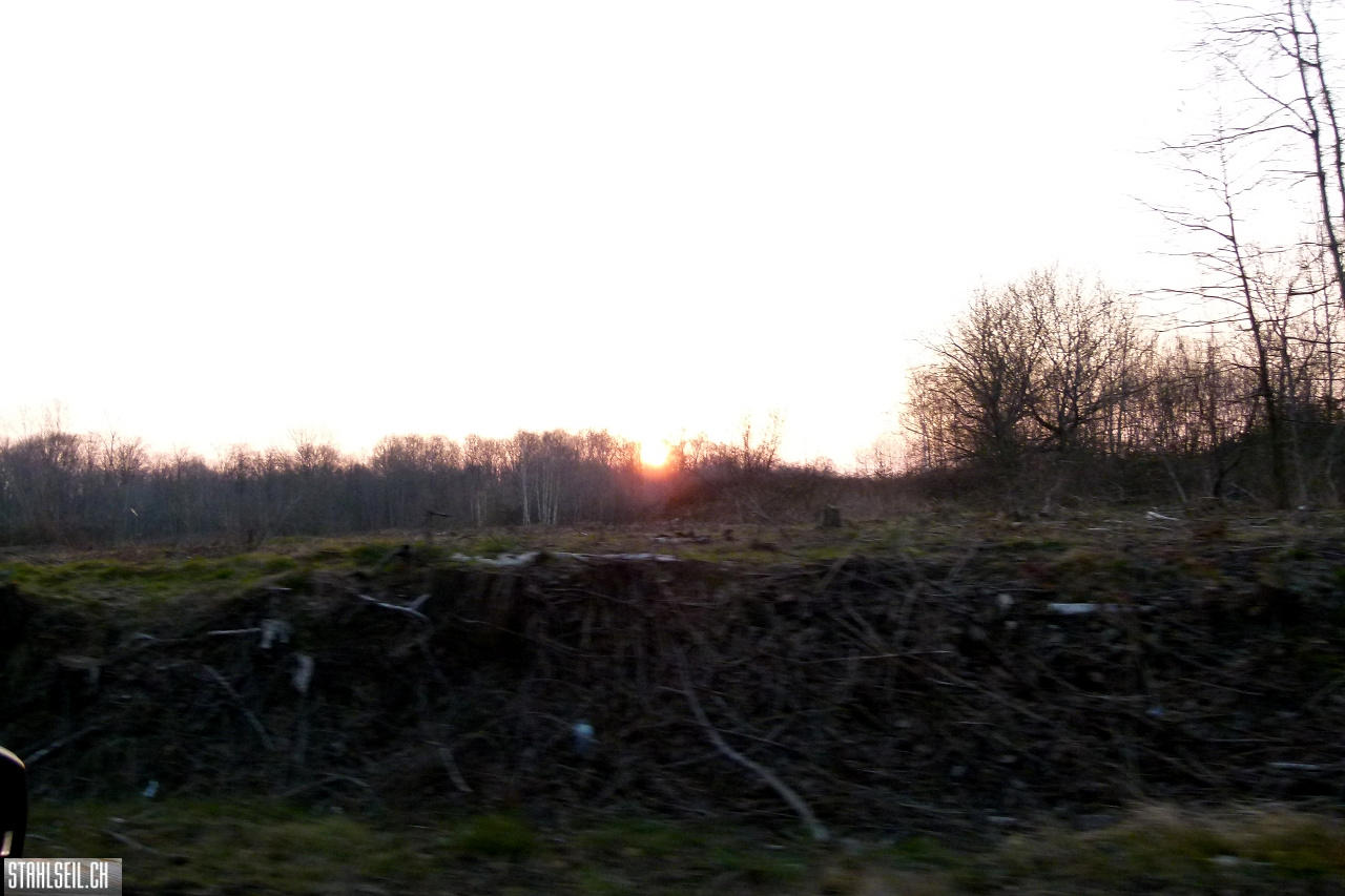 P1850599.JPG