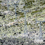 P1200081.JPG