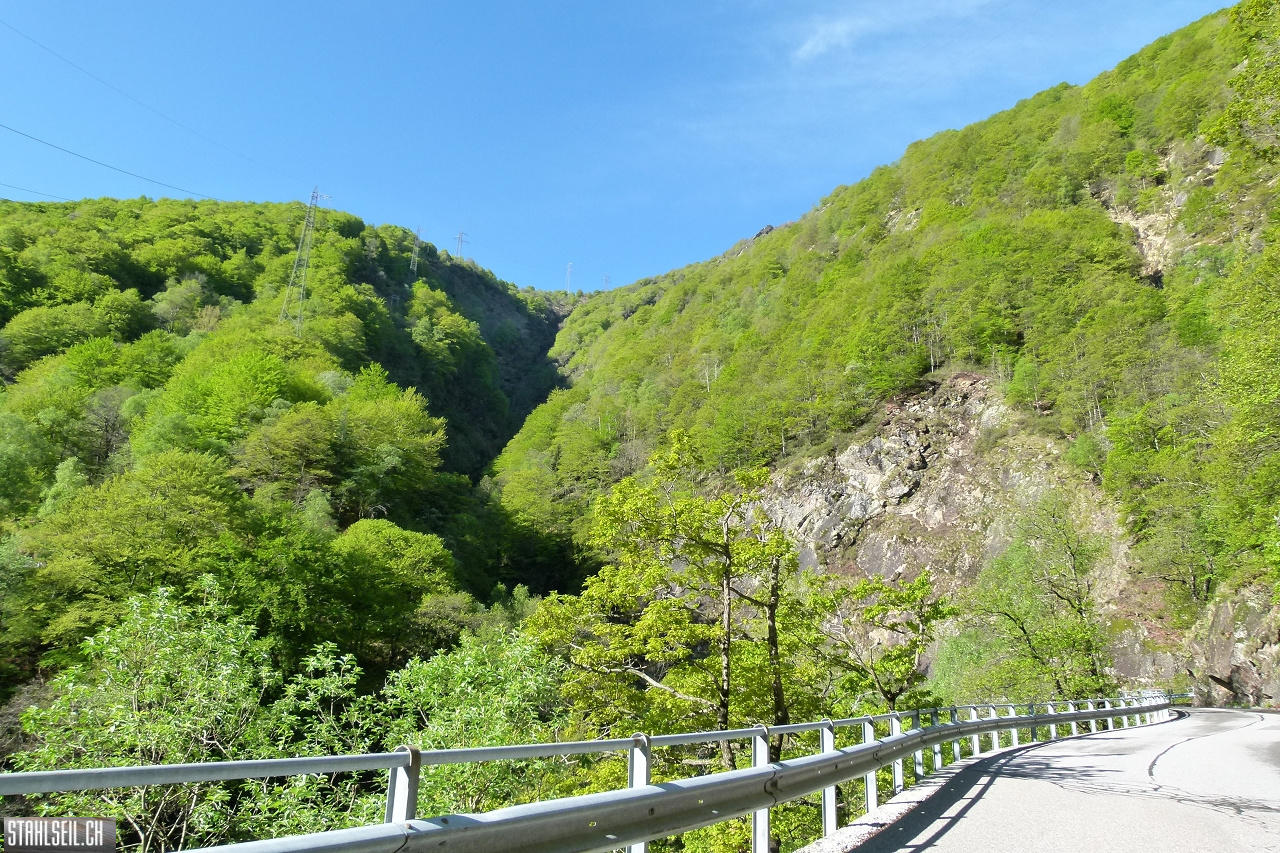 P1860268.JPG