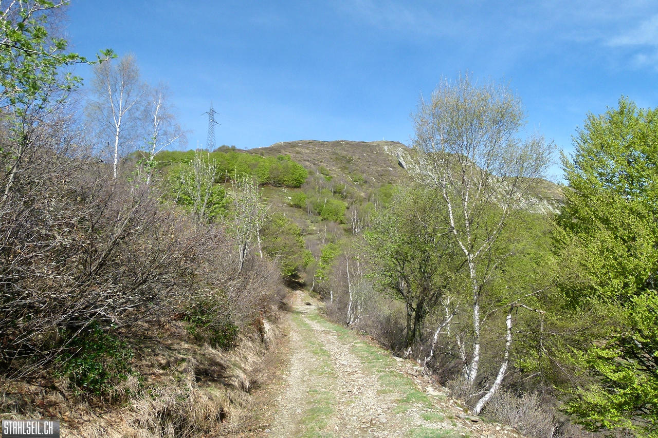 P1860276.JPG