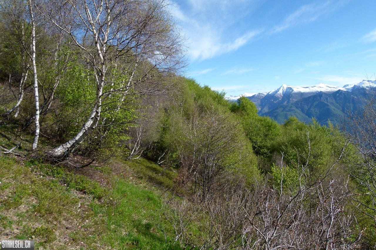P1860280.JPG