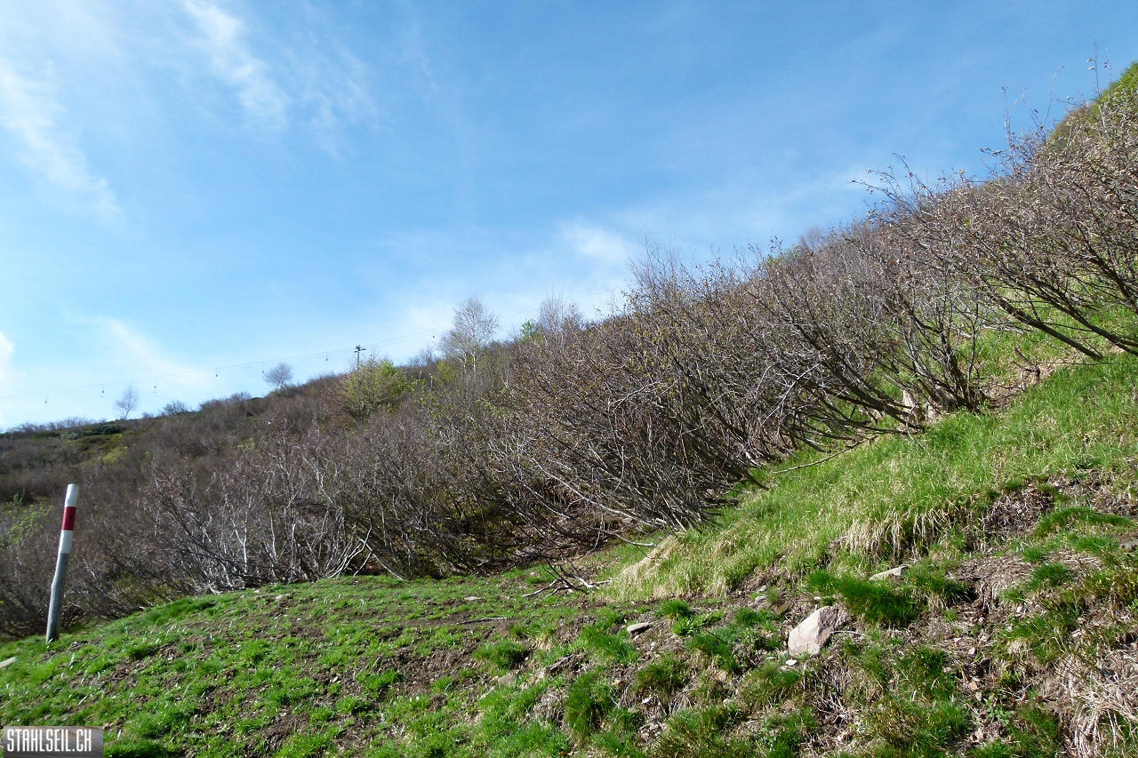P1860281.JPG