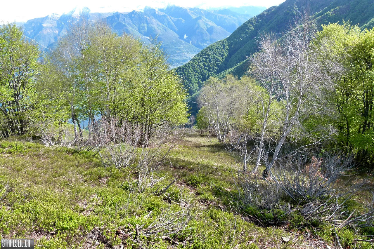 P1860284.JPG
