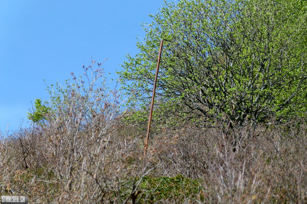 P1860286.JPG