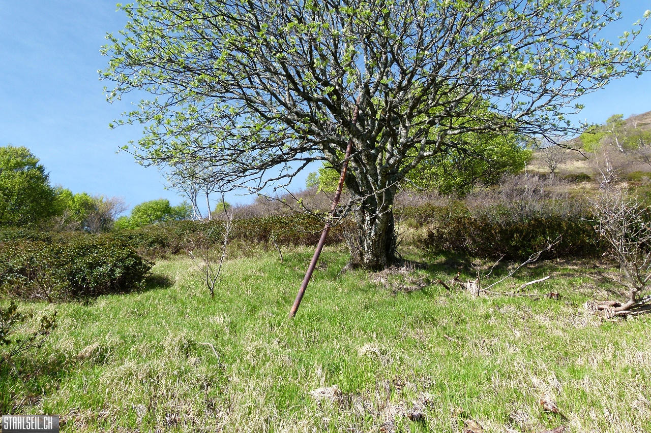 P1860297.JPG