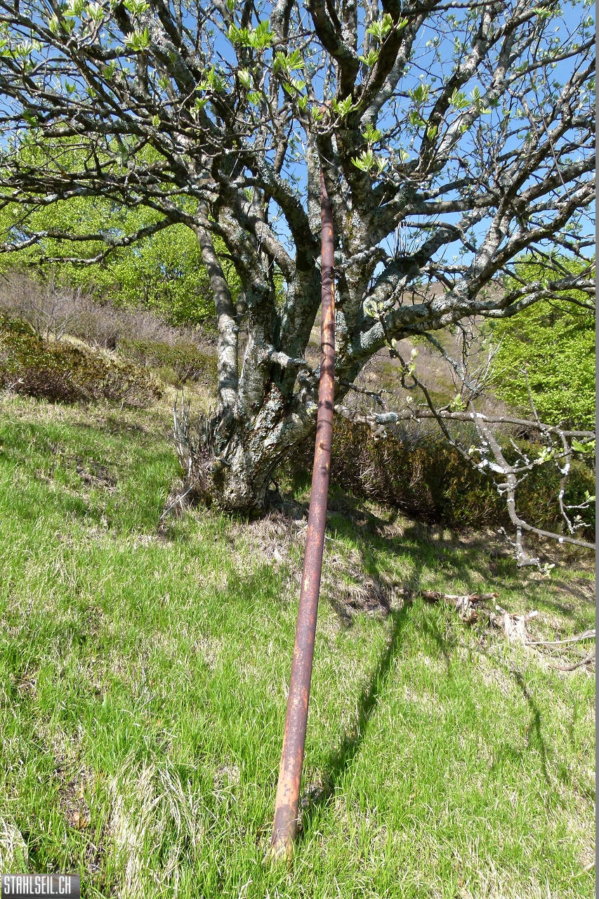 P1860300.JPG