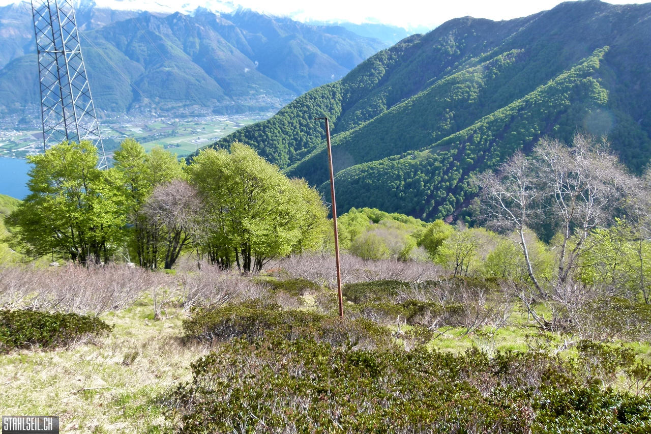 P1860301.JPG