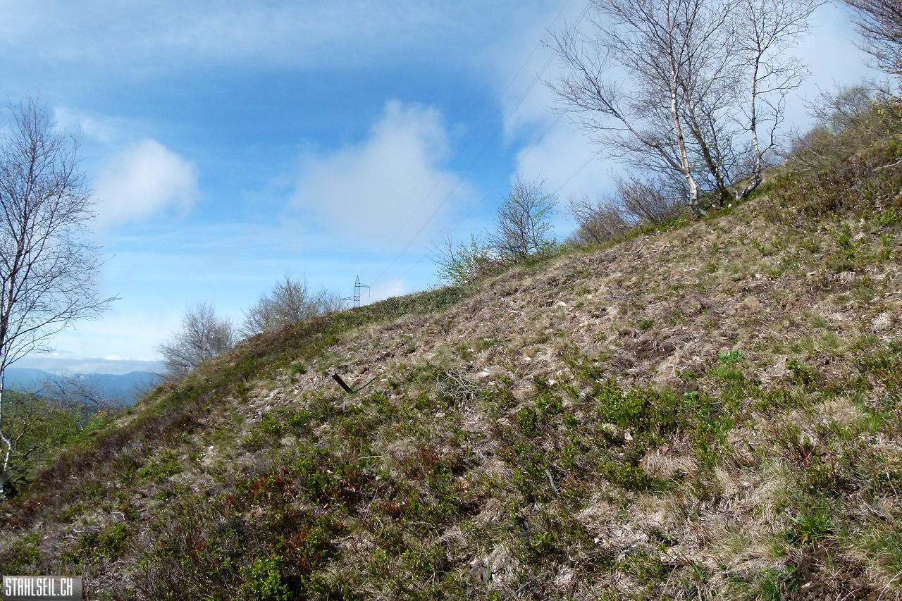 P1860314.JPG
