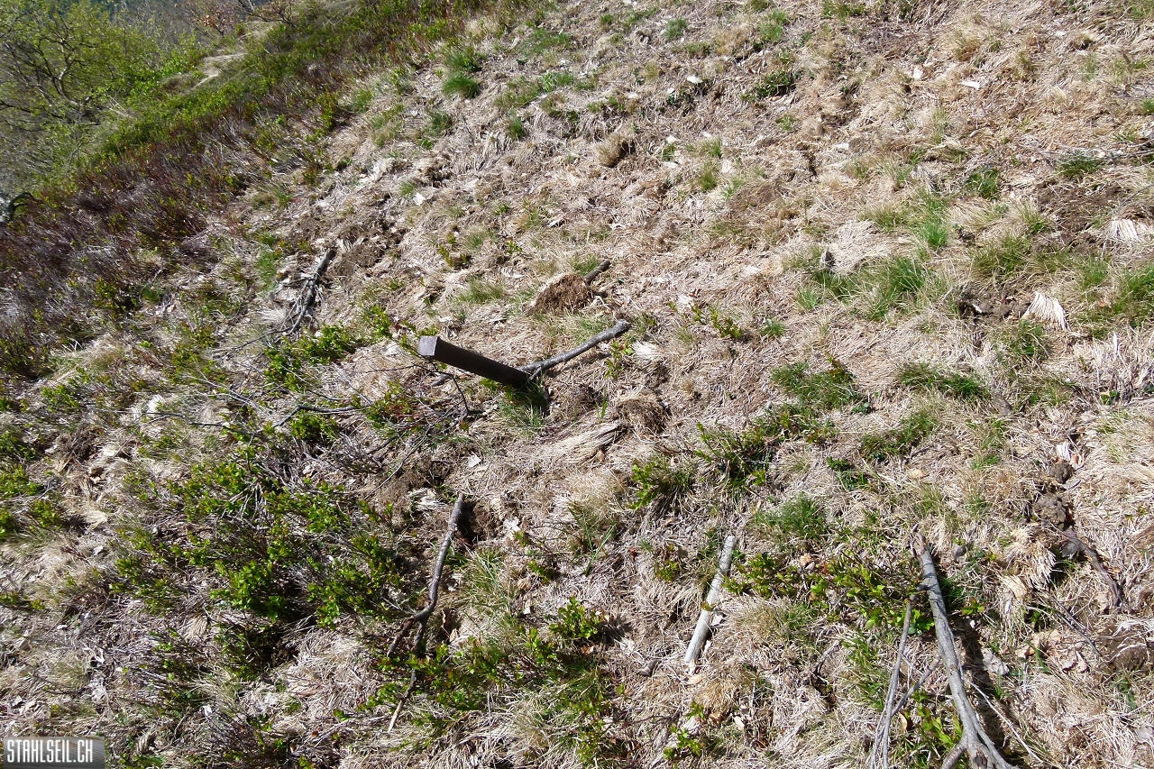 P1860316.JPG