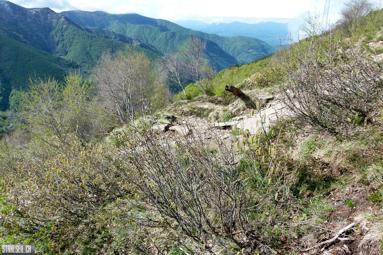 P1860325.JPG