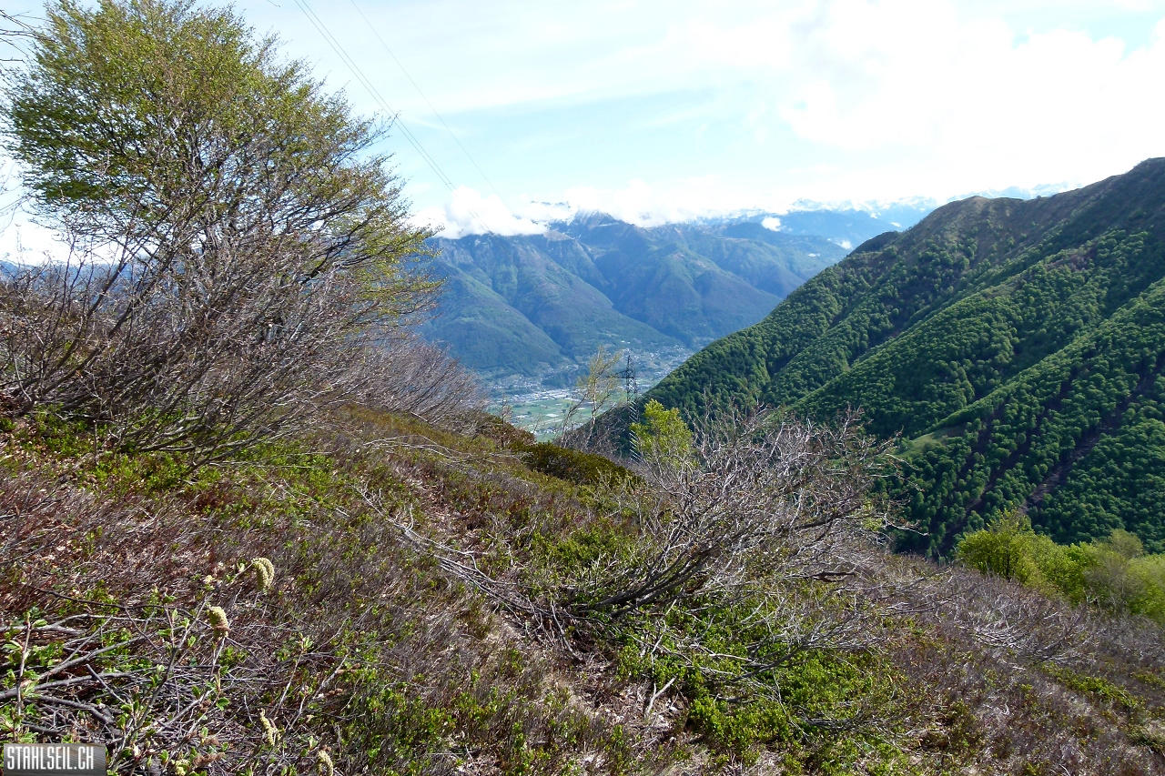 P1860328.JPG