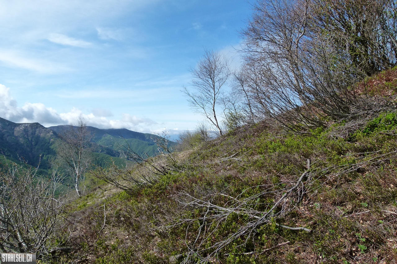 P1860330.JPG