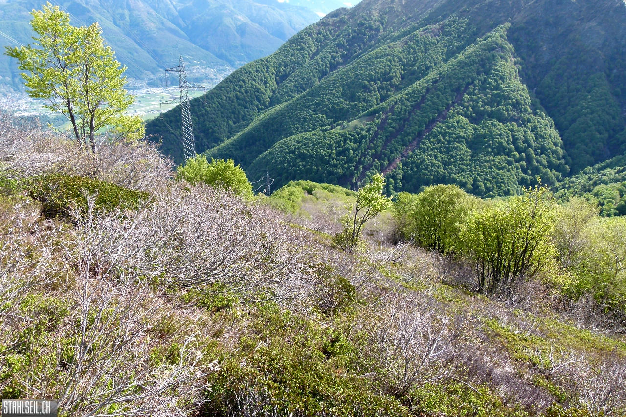 P1860333.JPG