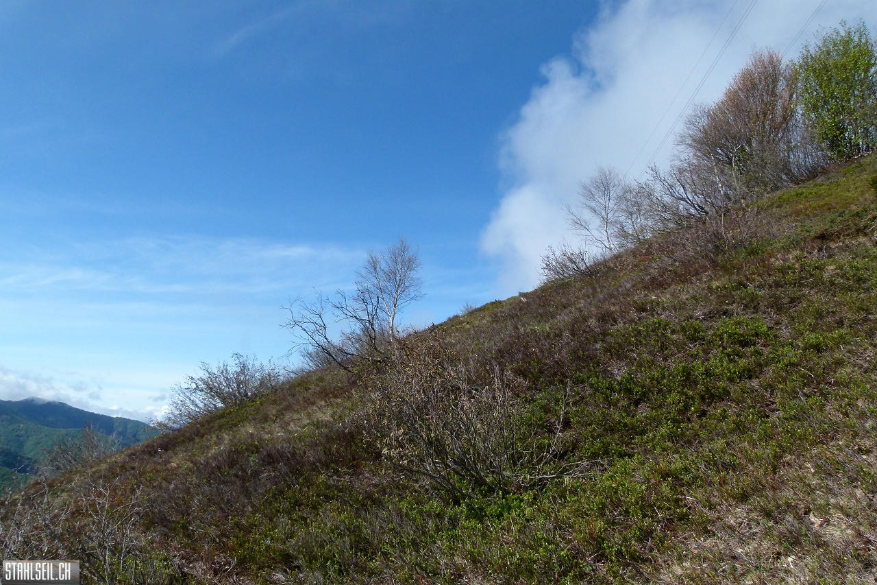 P1860334.JPG