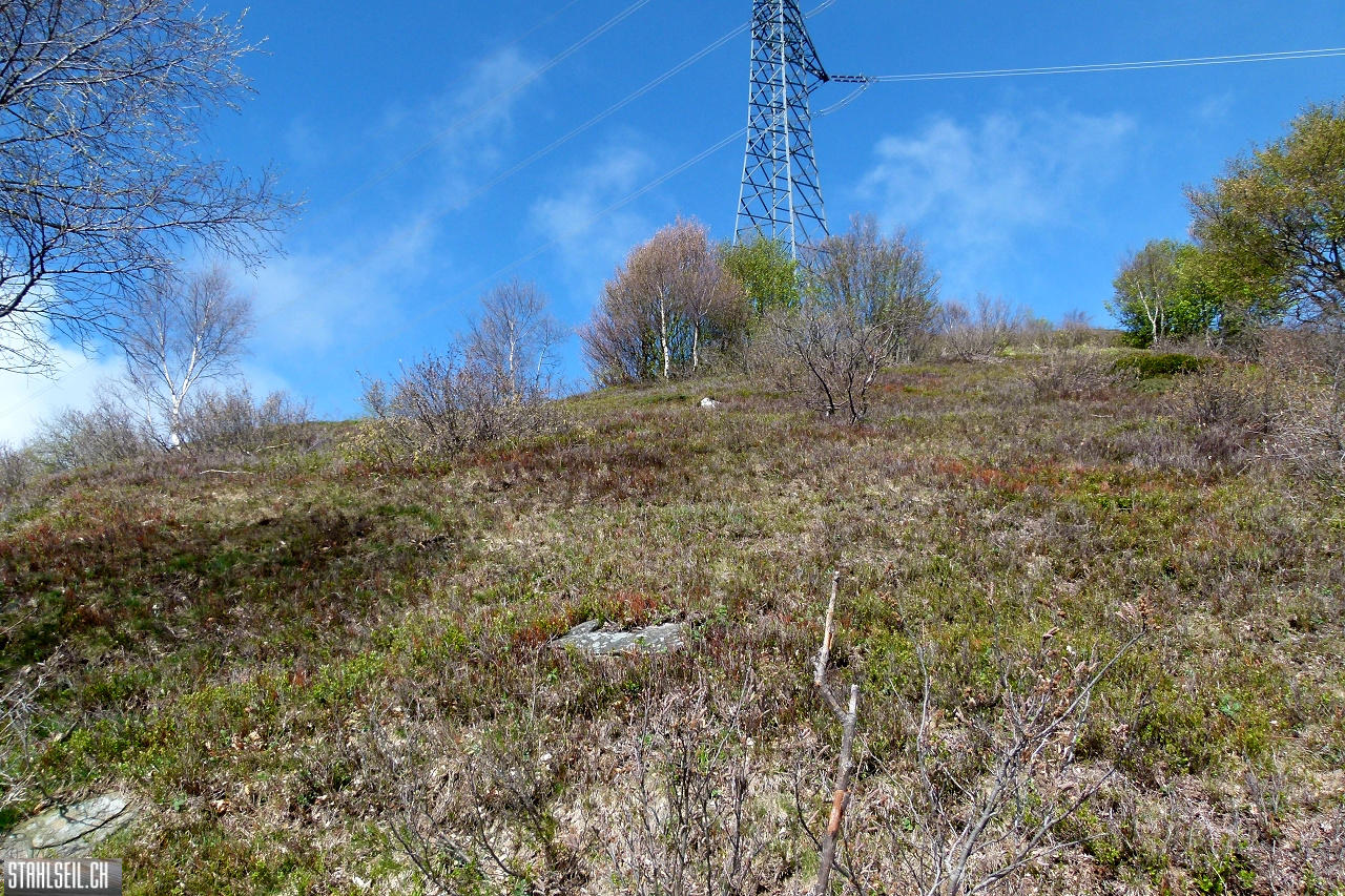 P1860336.JPG