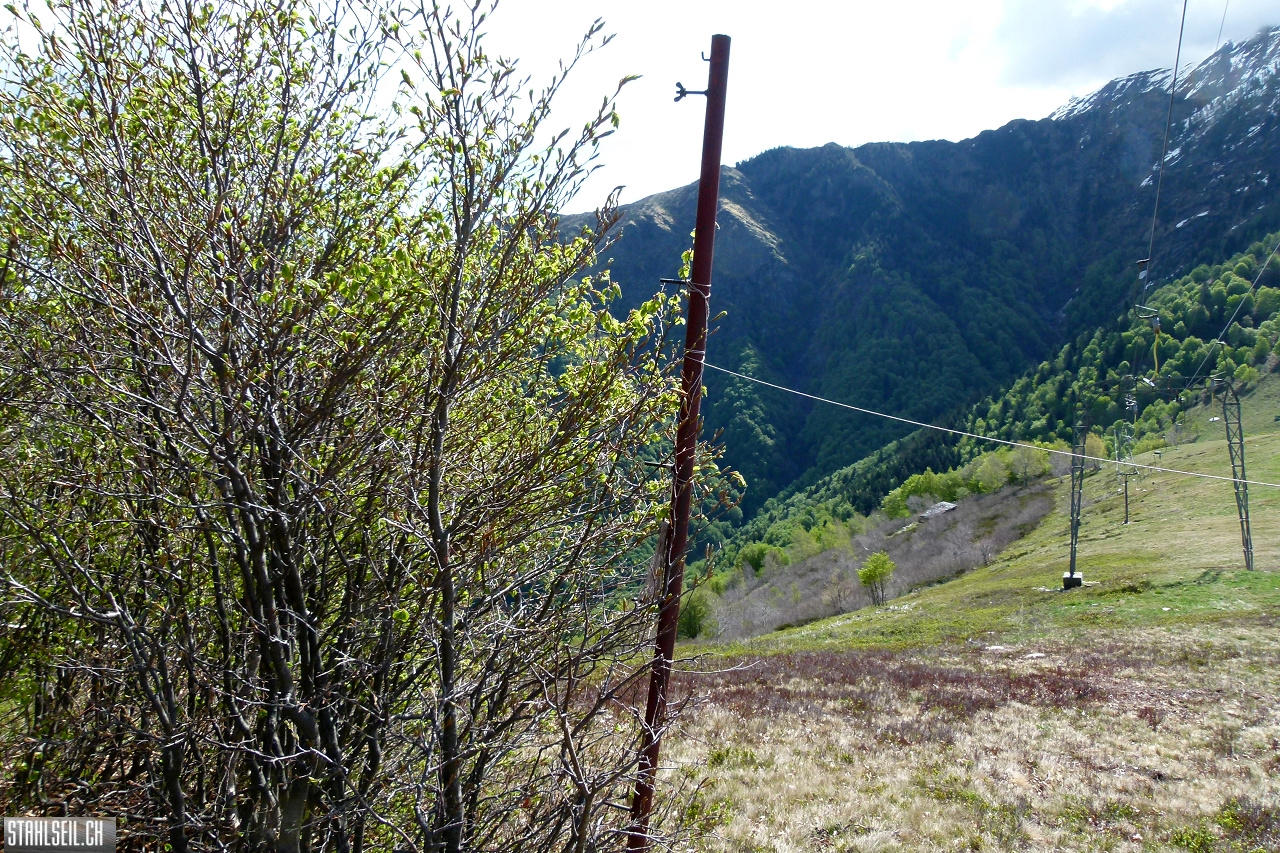 P1860342.JPG