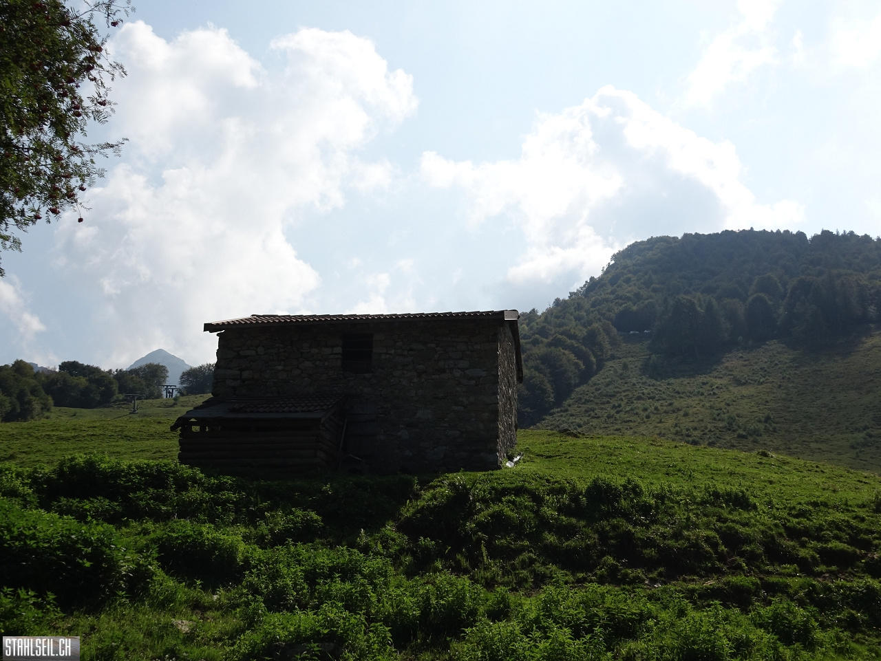 DSC04898.JPG