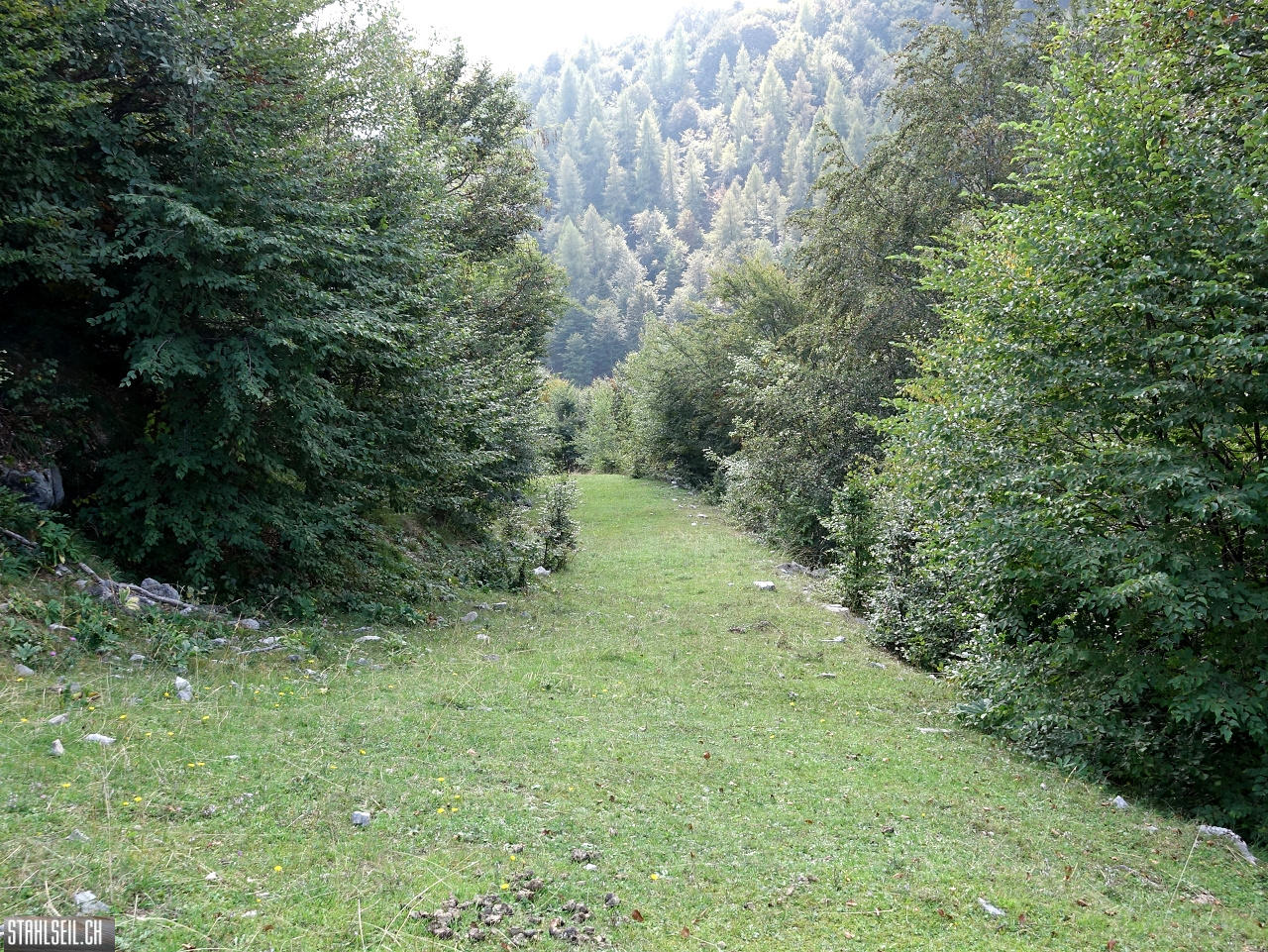 DSC04935.JPG