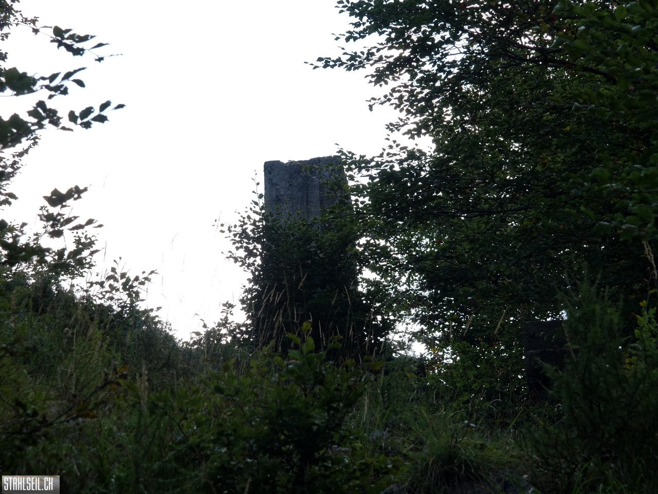 DSC04940.JPG