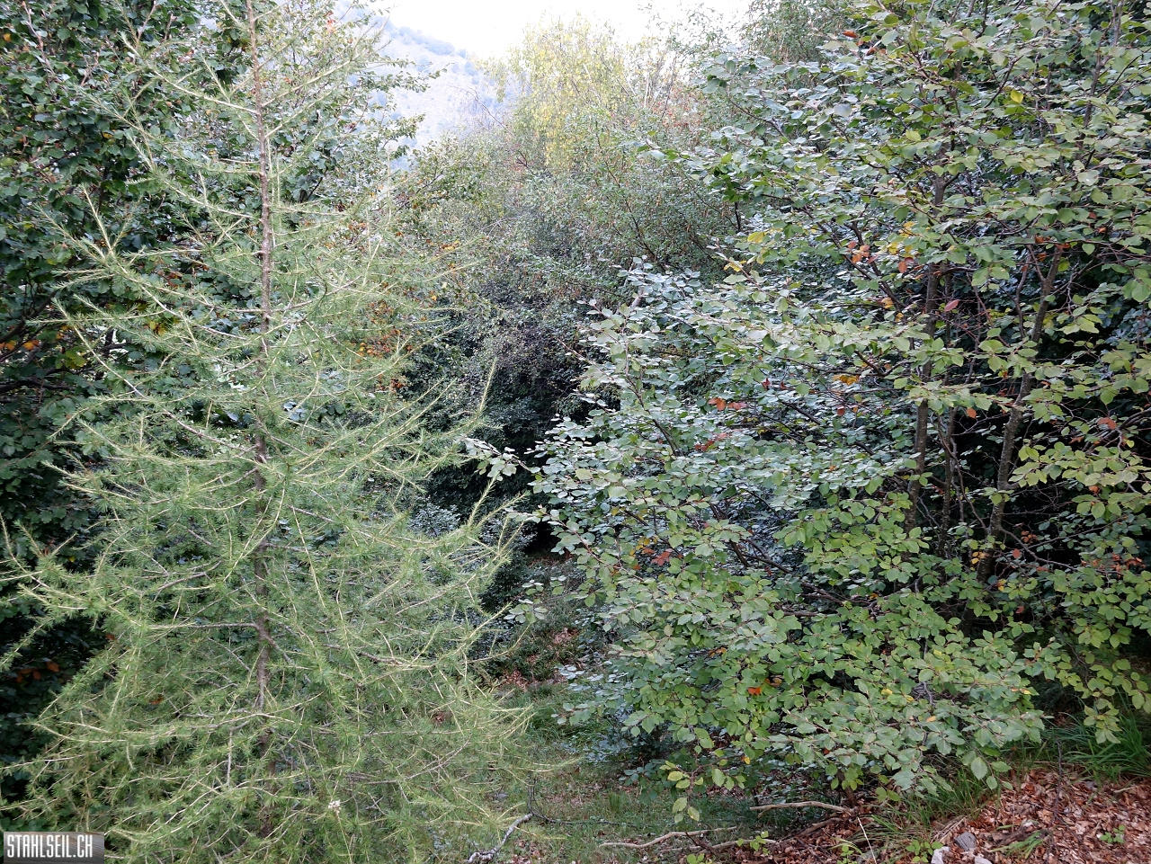DSC04944.JPG