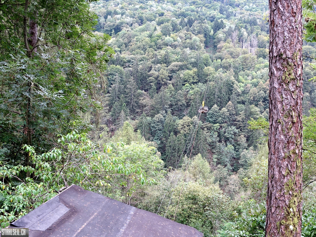 DSC04784.JPG