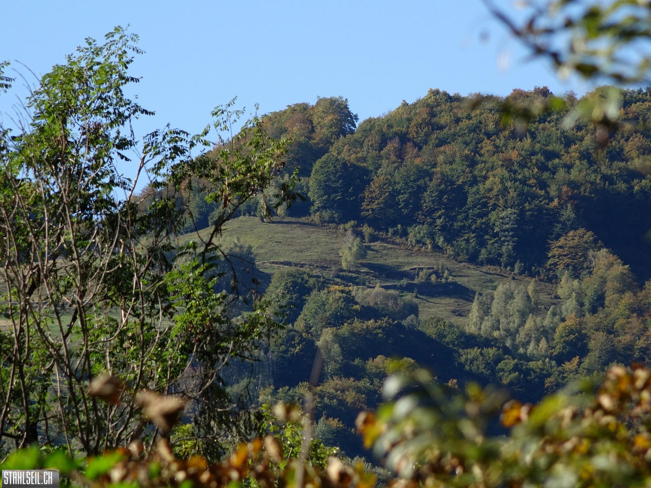 DSC05053.JPG