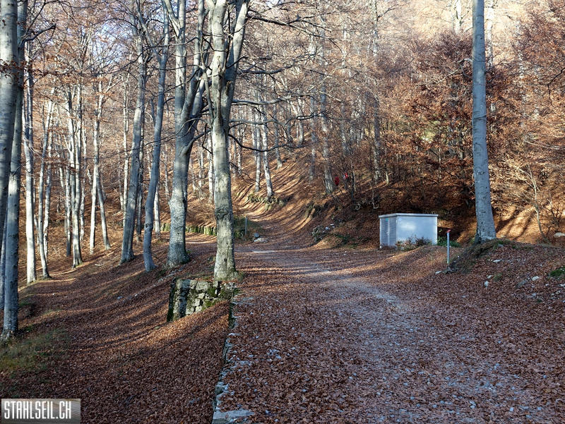 DSC05163.JPG