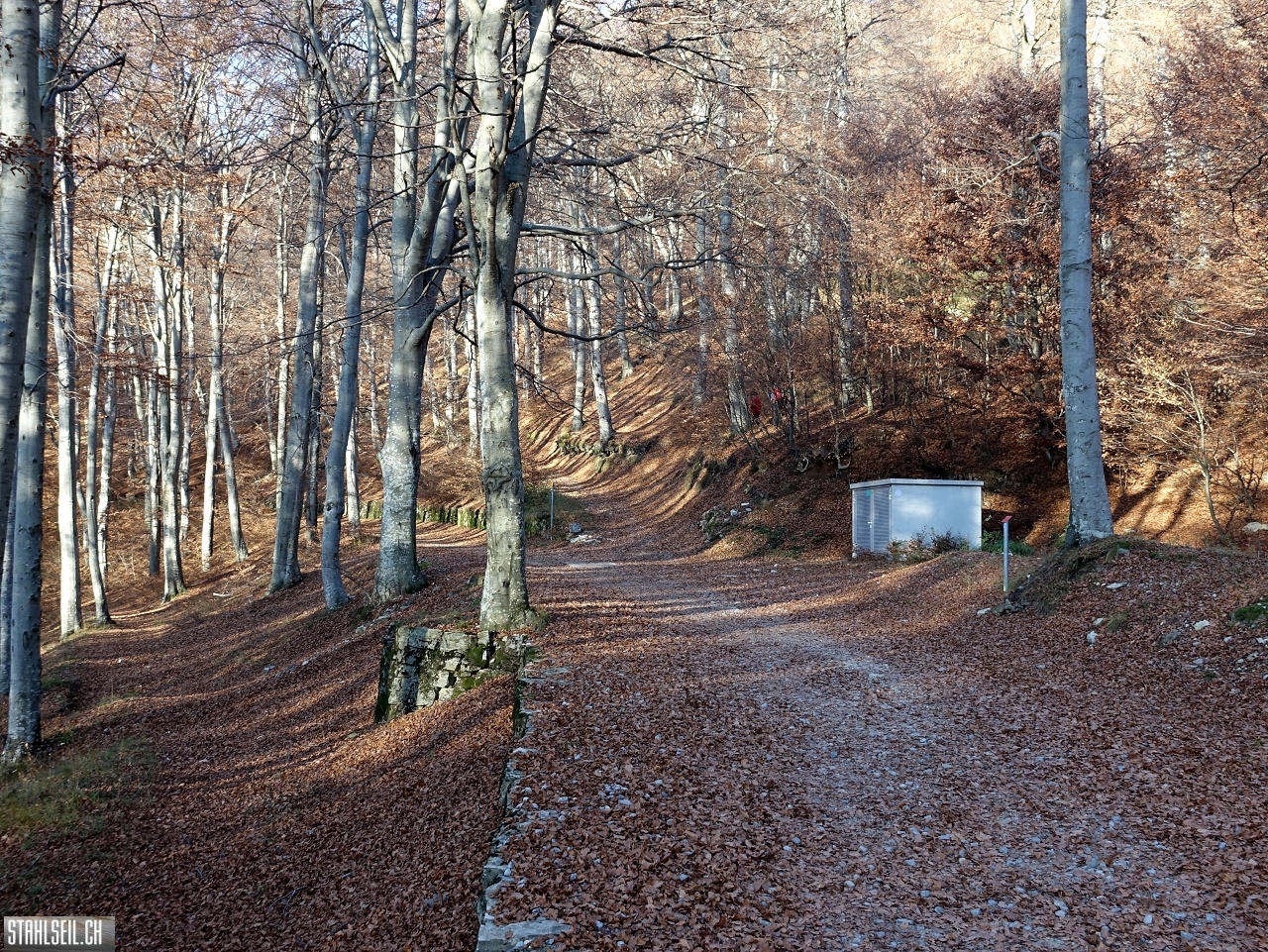 DSC05163.JPG