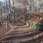 DSC05164.JPG