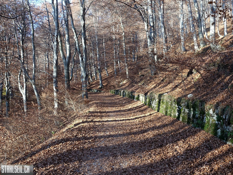 DSC05164.JPG