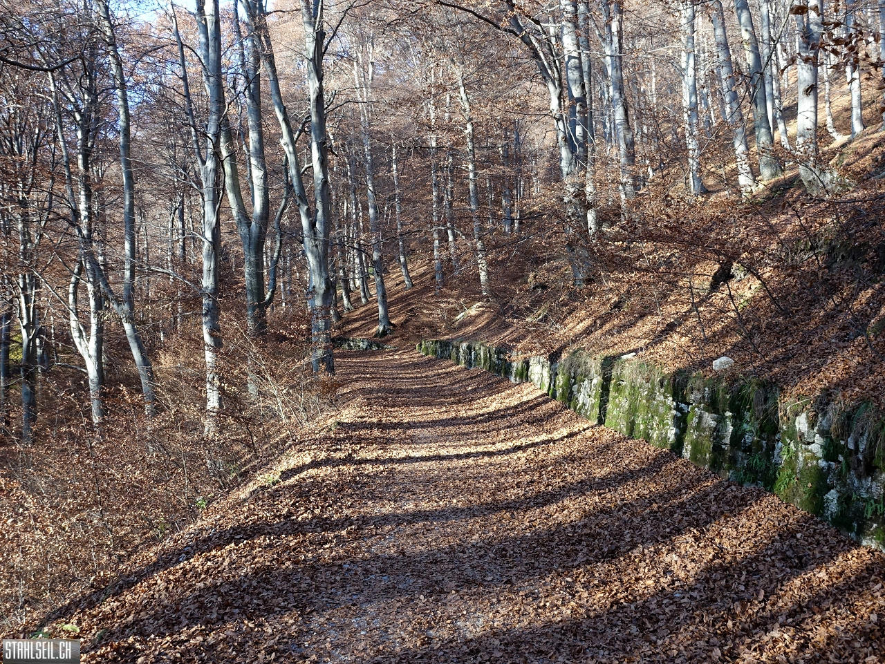 DSC05164.JPG