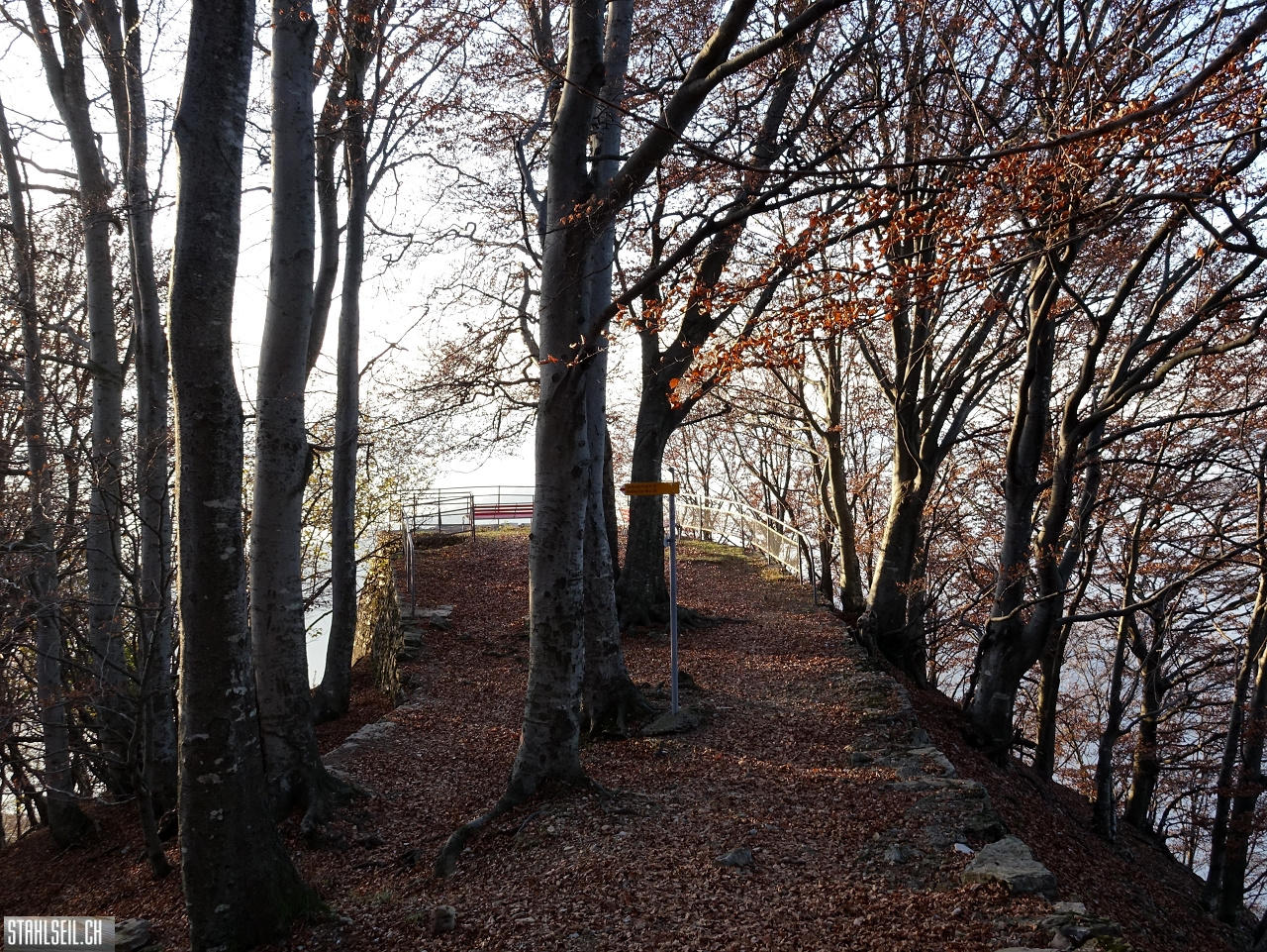 DSC05206.JPG