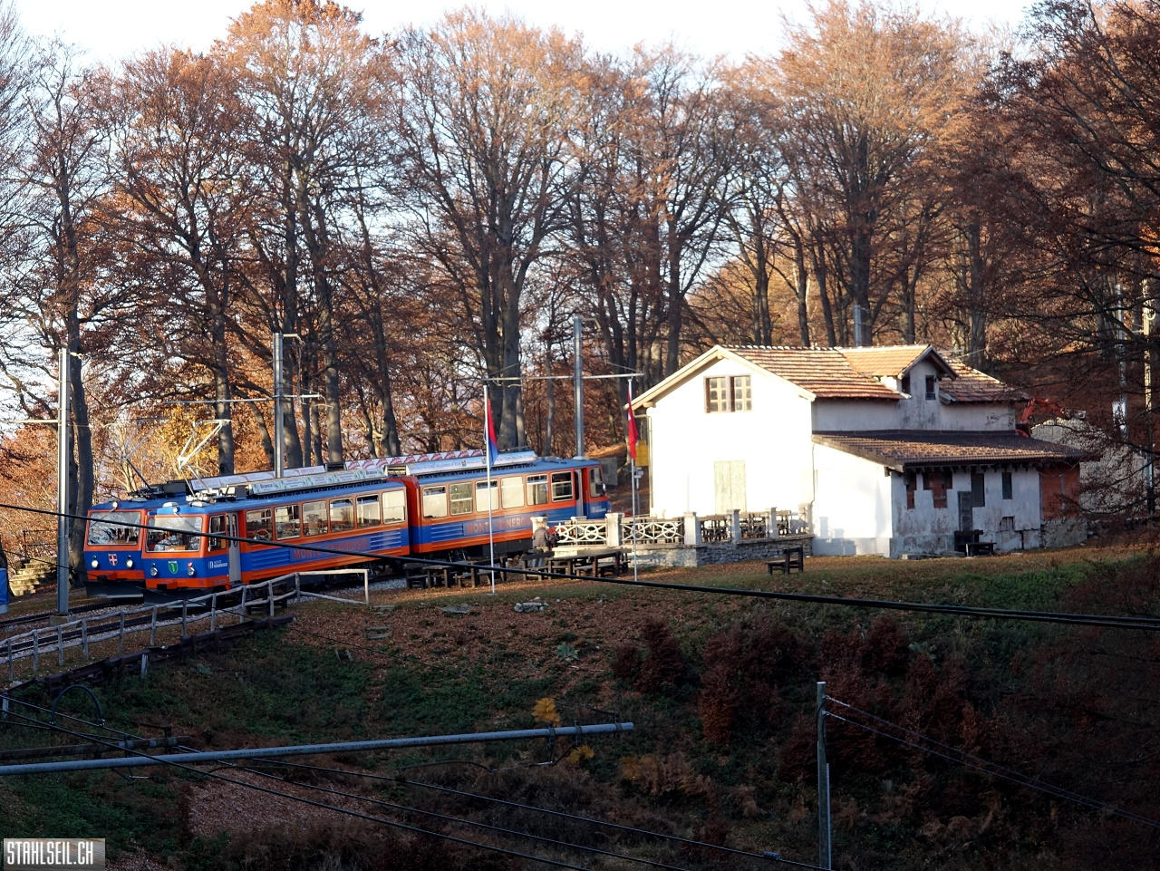 DSC05181.JPG