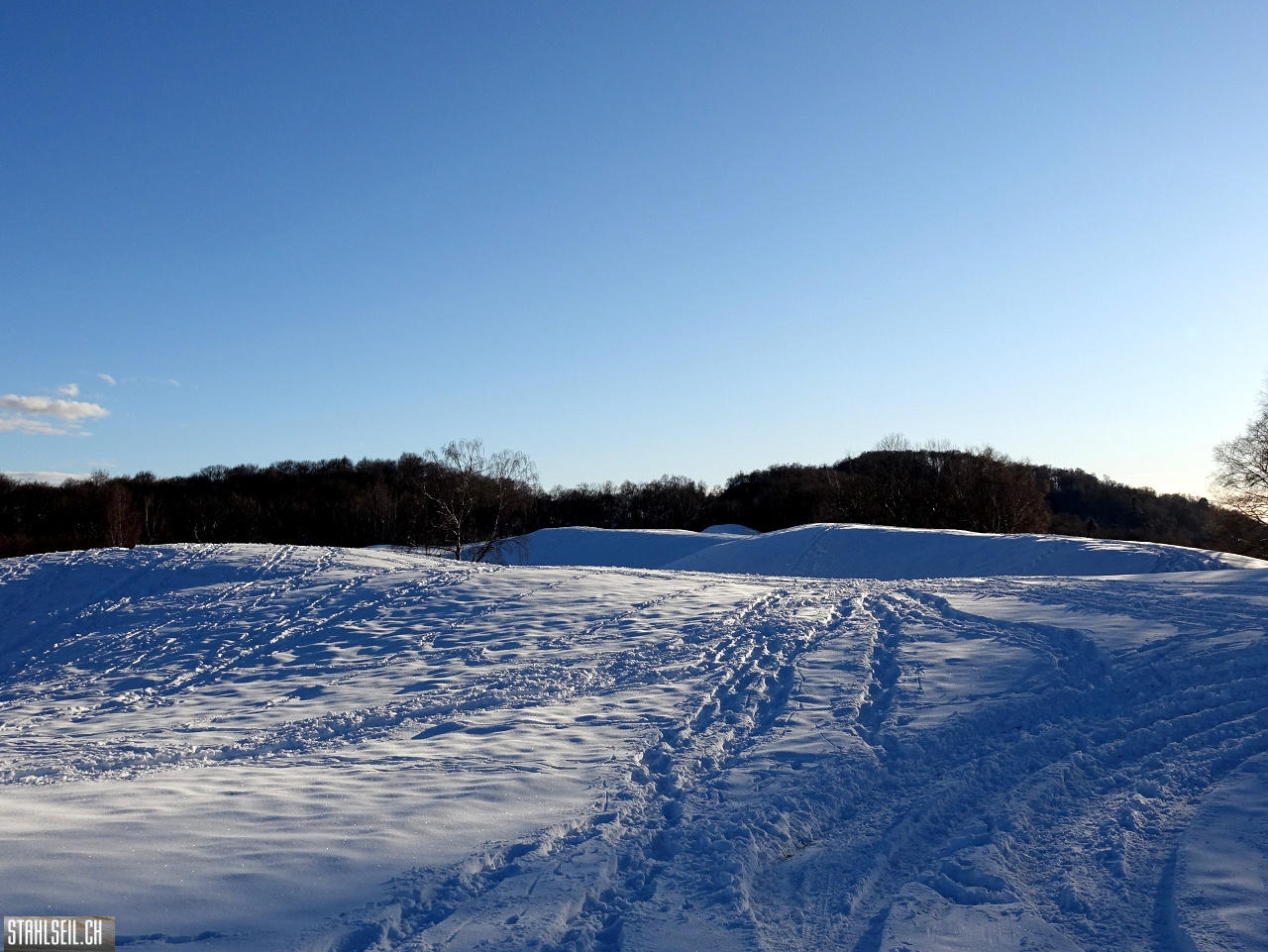 DSC05475.JPG