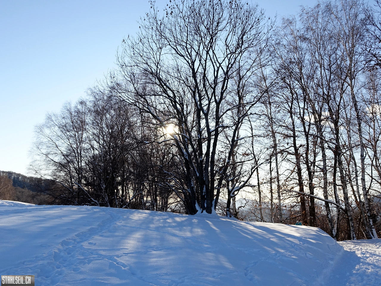 DSC05476.JPG