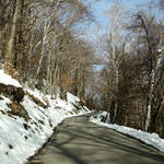 DSC05505.JPG