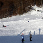 DSC05514.JPG